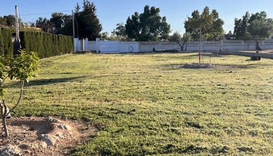 Zimmer in Camino del Mahonés, 37, Los Girasoles, San Vicente del Raspeig / Sant Vicent del Raspeig - Bild 1 Foto 1 von Zimmer in Camino del Mahonés, 37, Los Girasoles, San Vicente del Raspeig / Sant Vicent del Raspeig