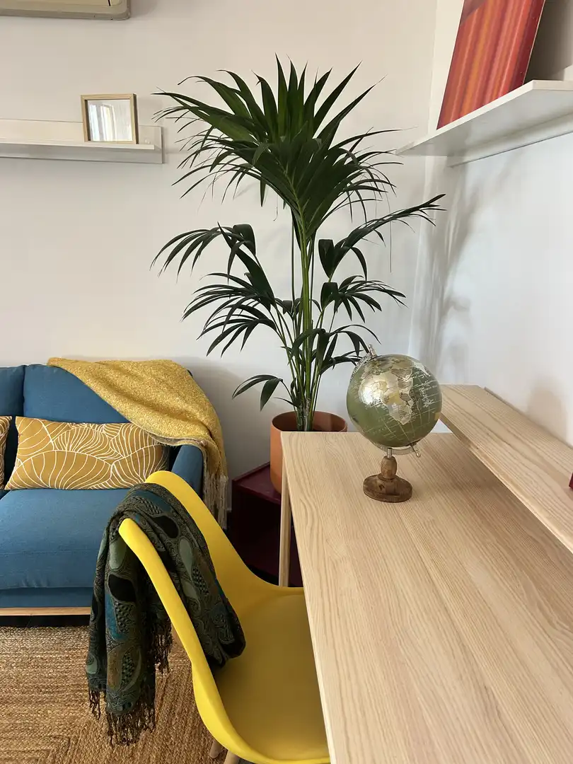 Piso en venta en Carrer de Magalhães, 88, El Poble Sec - Parc de Montjuïc Sala de estar de Piso en venta en Barcelona Capital con Aire acondicionado y Terraza