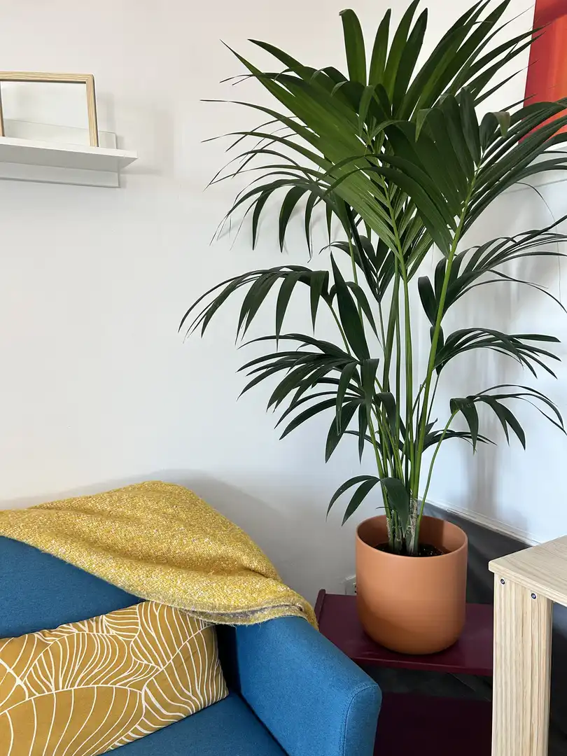Piso en venta en Carrer de Magalhães, 88, El Poble Sec - Parc de Montjuïc Habitación de Piso en venta en Barcelona Capital con Aire acondicionado y Terraza