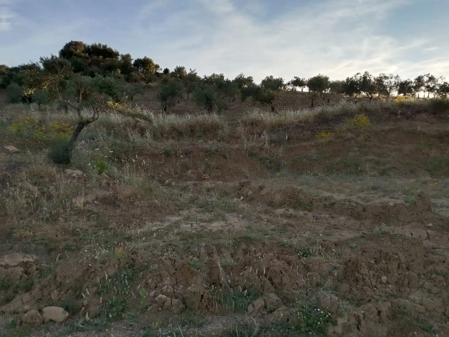 Country homes for sale in Tolox