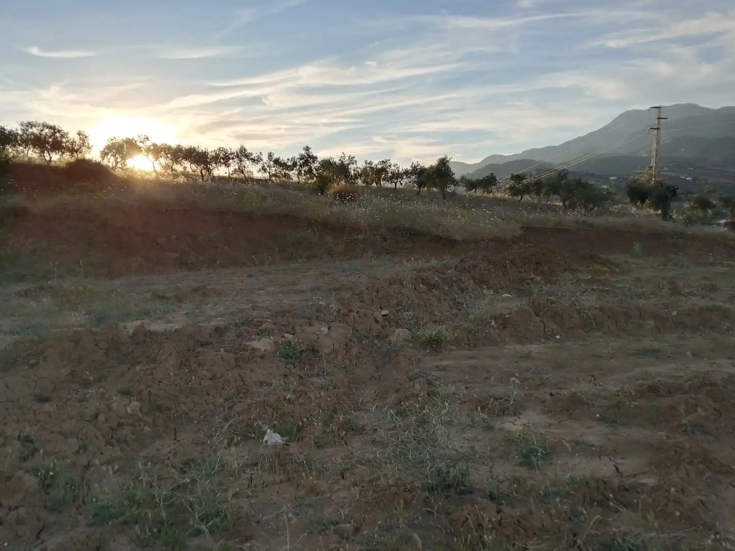Country homes for sale in Tolox