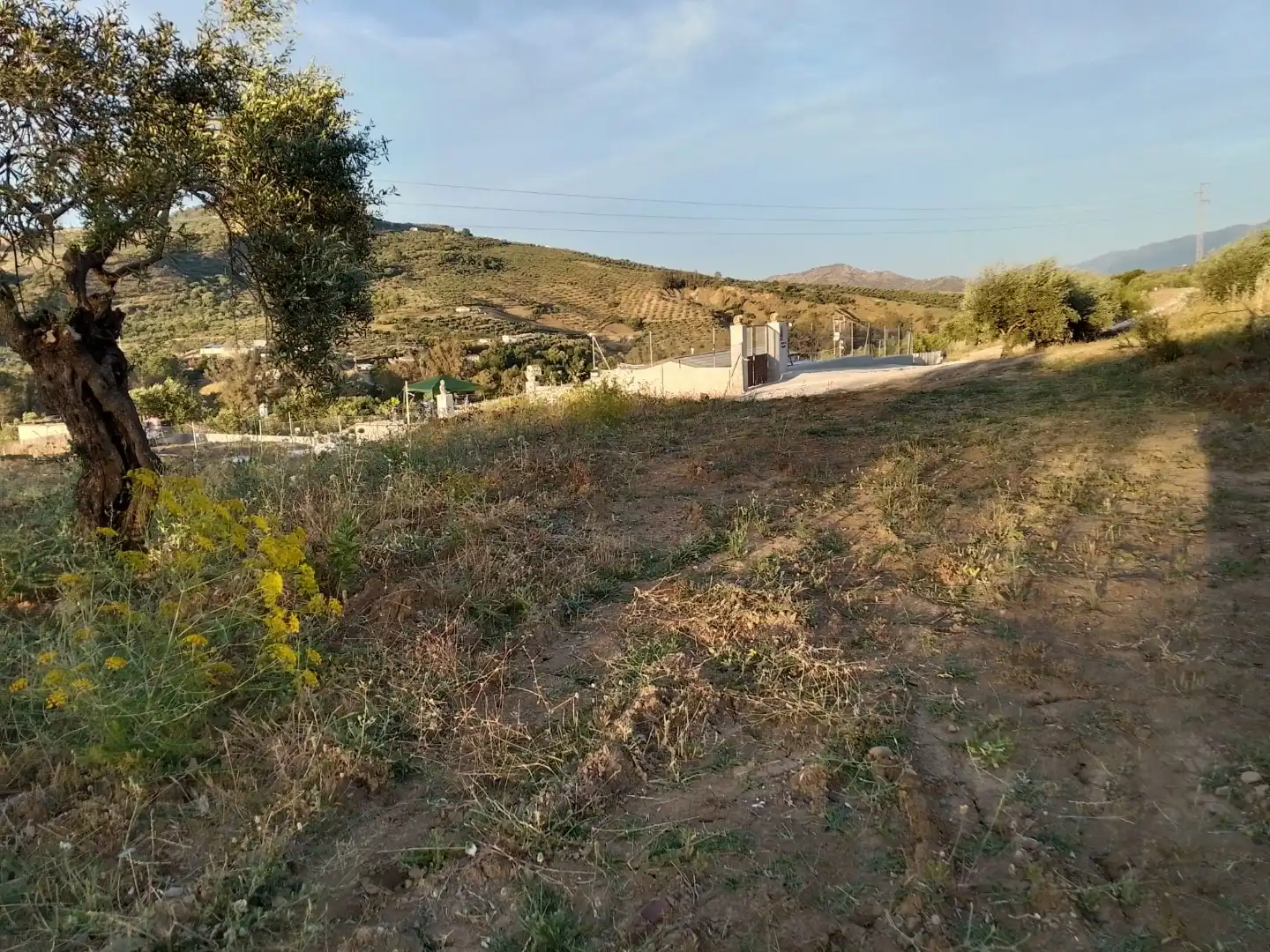 Country homes for sale in Tolox