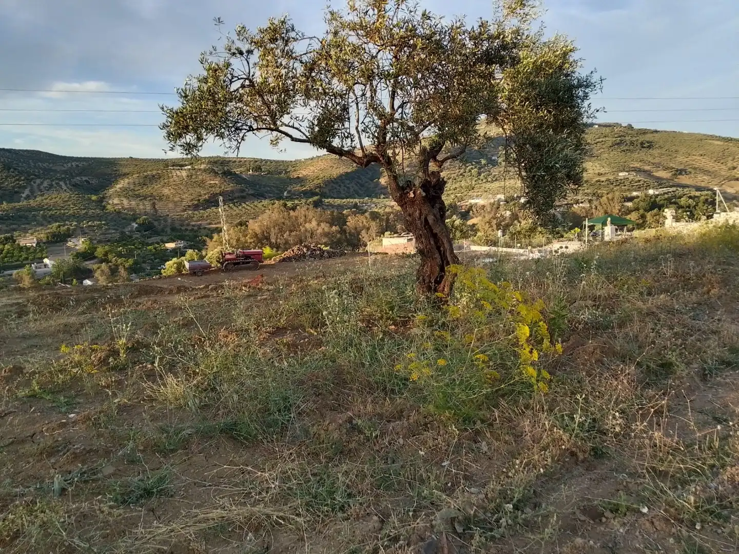 Country homes for sale in Tolox