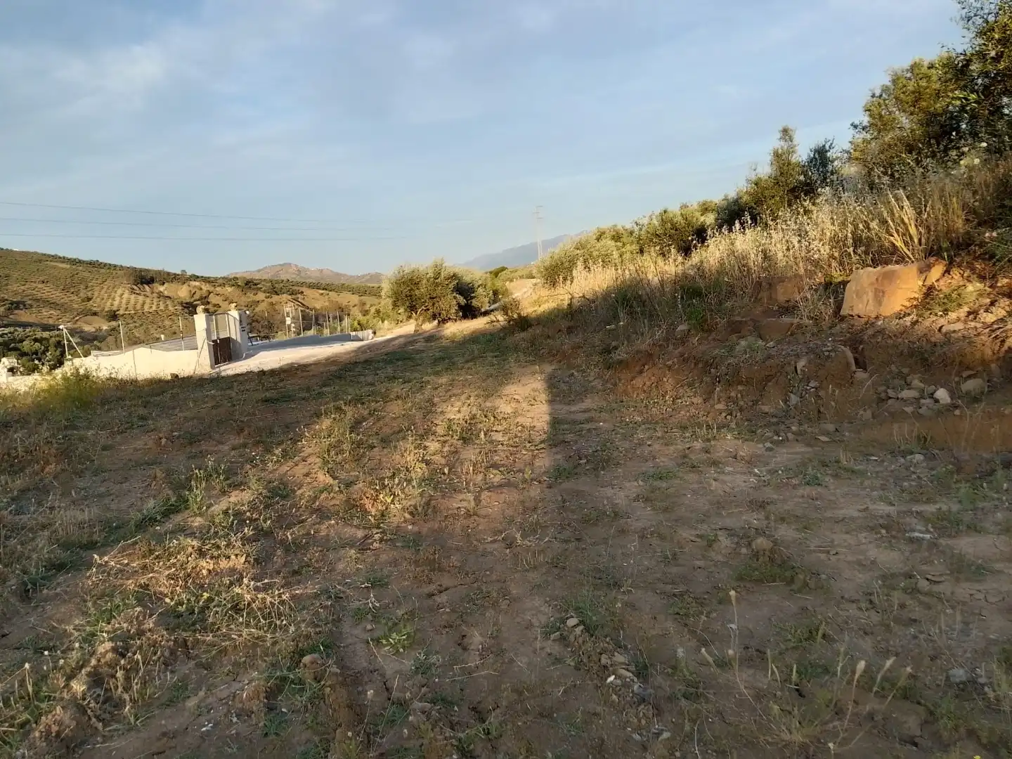 Country homes for sale in Tolox