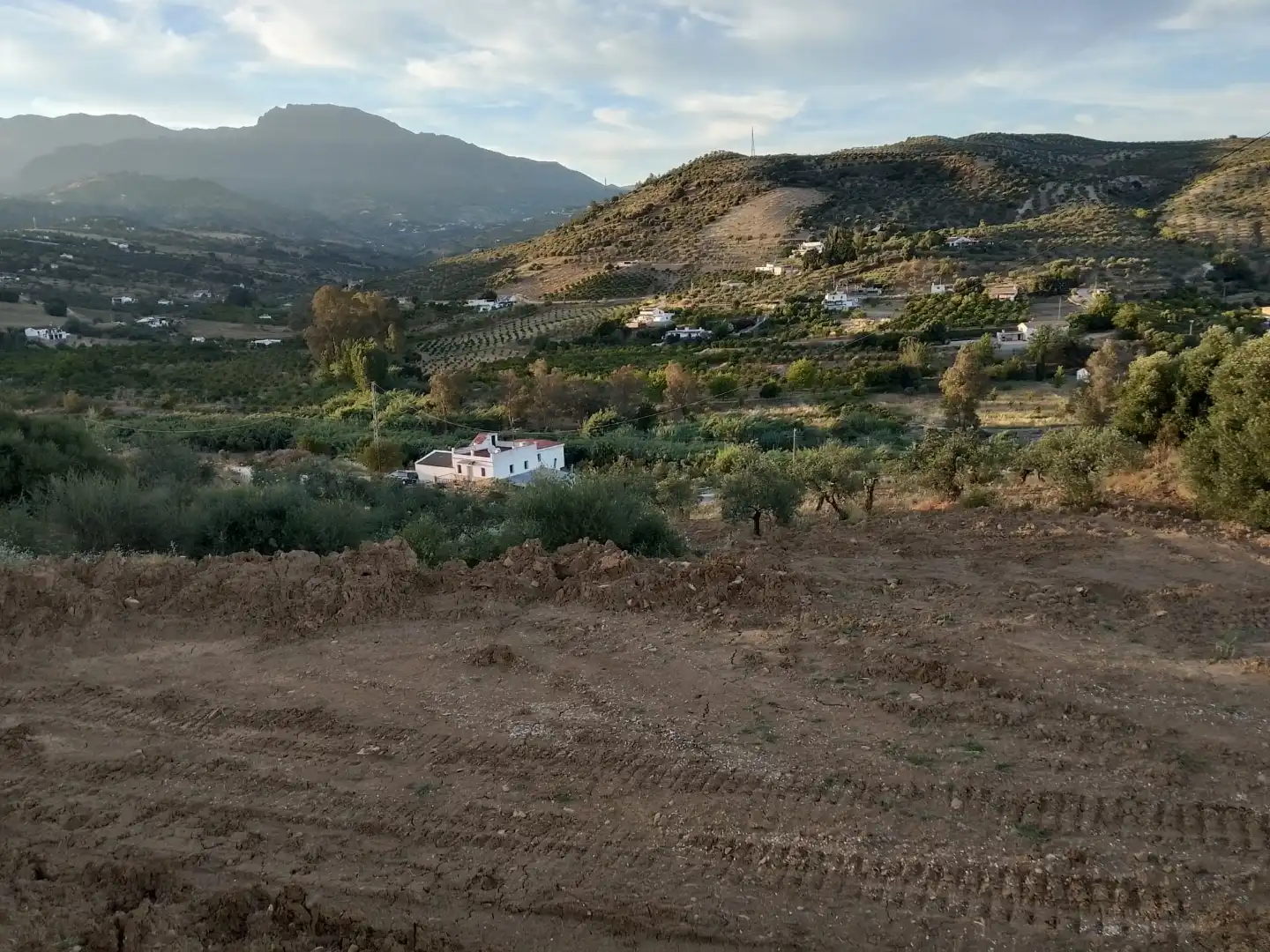 Country homes for sale in Tolox