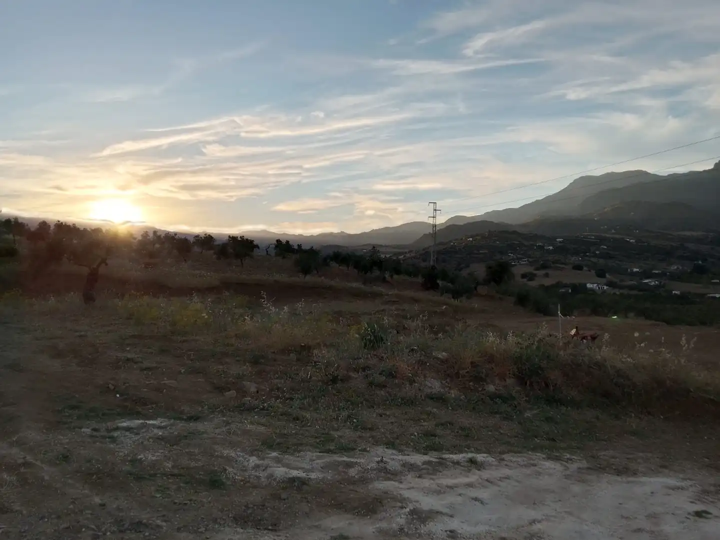 Country homes for sale in Tolox