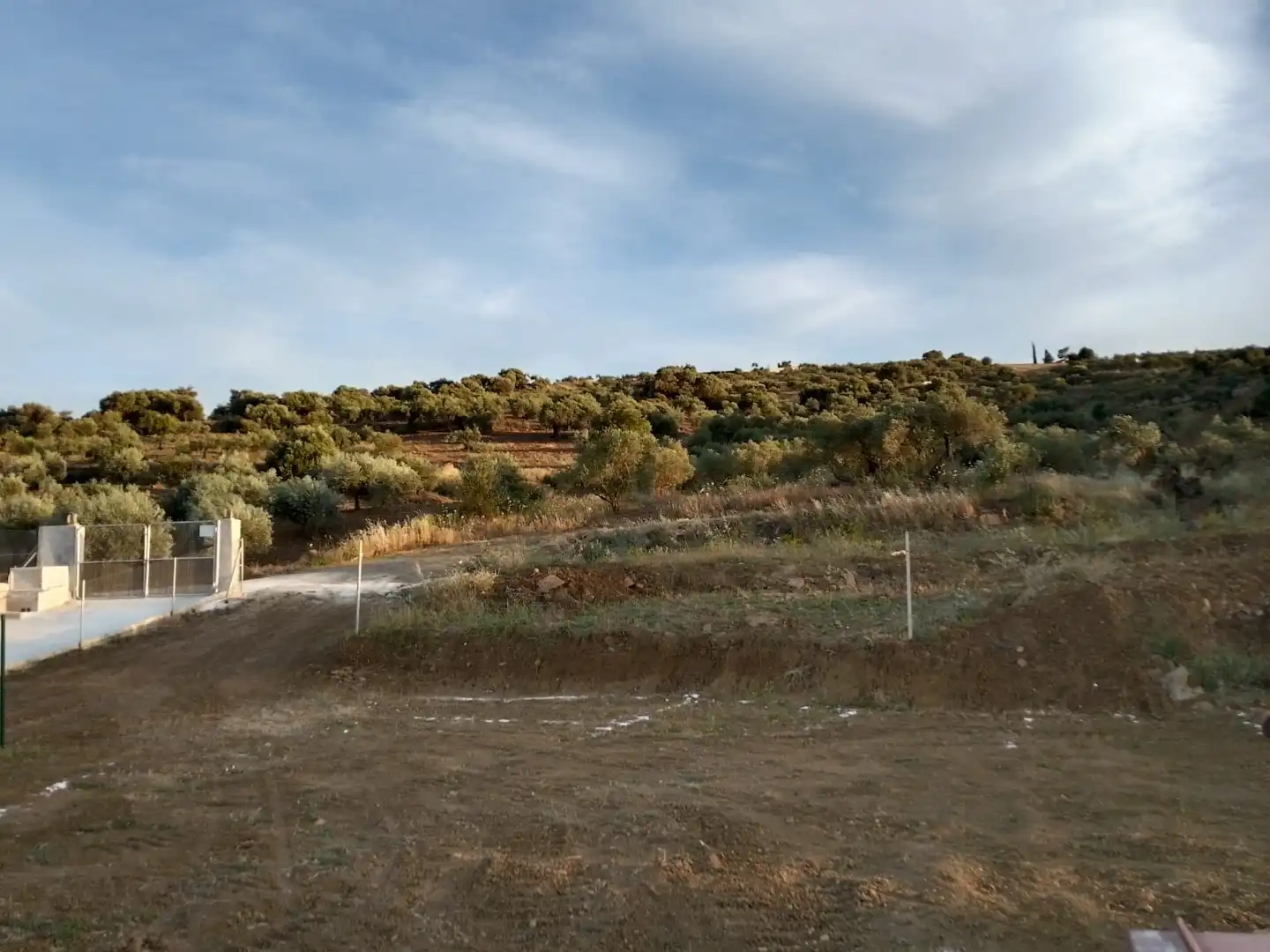 Country homes for sale in Tolox