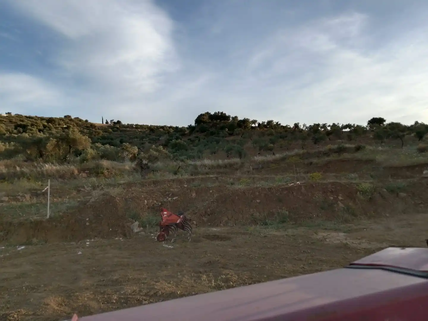 Country homes for sale in Tolox