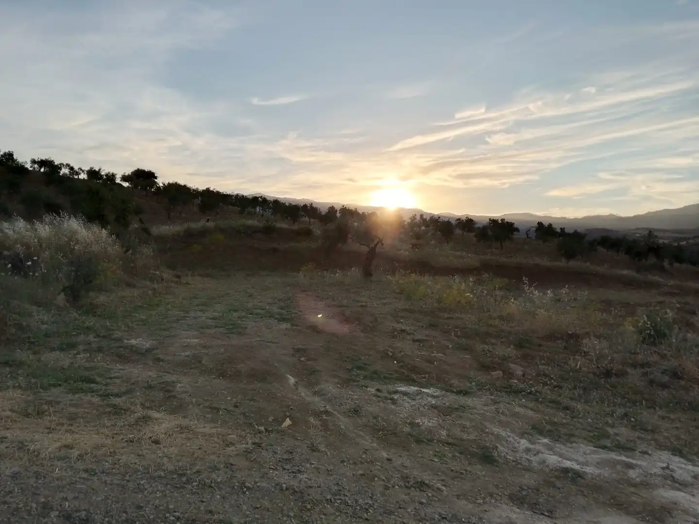 Country homes for sale in Tolox