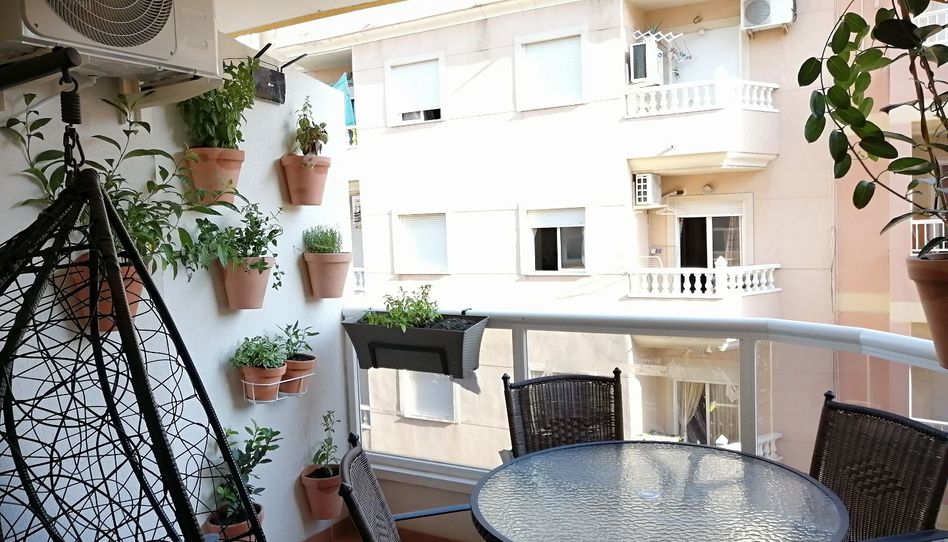 Wohnung zur Miete in Calle San Pascual, 301, Avenida Habaneras - Curva de Palangre, Torrevieja - Bild 1 Foto 1 von Wohnung zur Miete in Calle San Pascual, 301, Avenida Habaneras - Curva de Palangre, Torrevieja