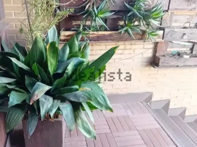 Casa o xalet en venda a Calle Torralba de Calatrava, 38, Larache Terrassa de Casa o xalet en venda en Ciudad Real amb Calefacció, Jardí privat i Parquet