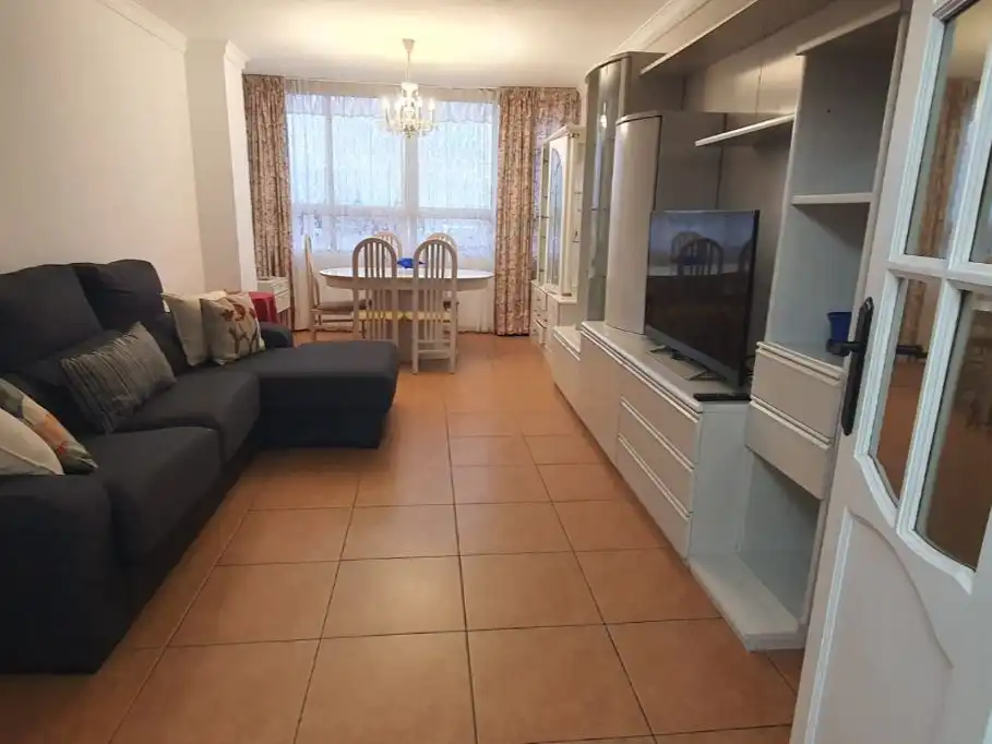 Flat for rent in Calle Ingeniero Salinas, 51, Alcaravaneras Living room of Flat for rent in Las Palmas de Gran Canaria with Terrace and Furnished