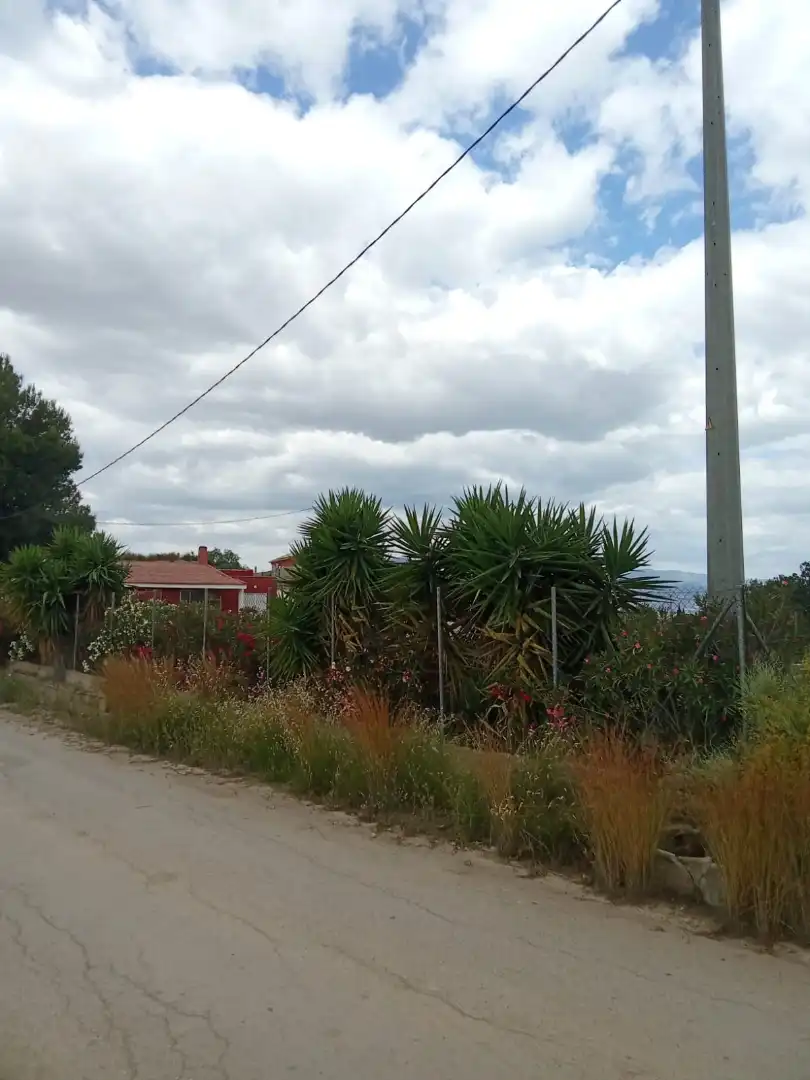 Finca rústica en venta en Calle Montalbán, 331, Librilla Finca rústica en venta en Librilla