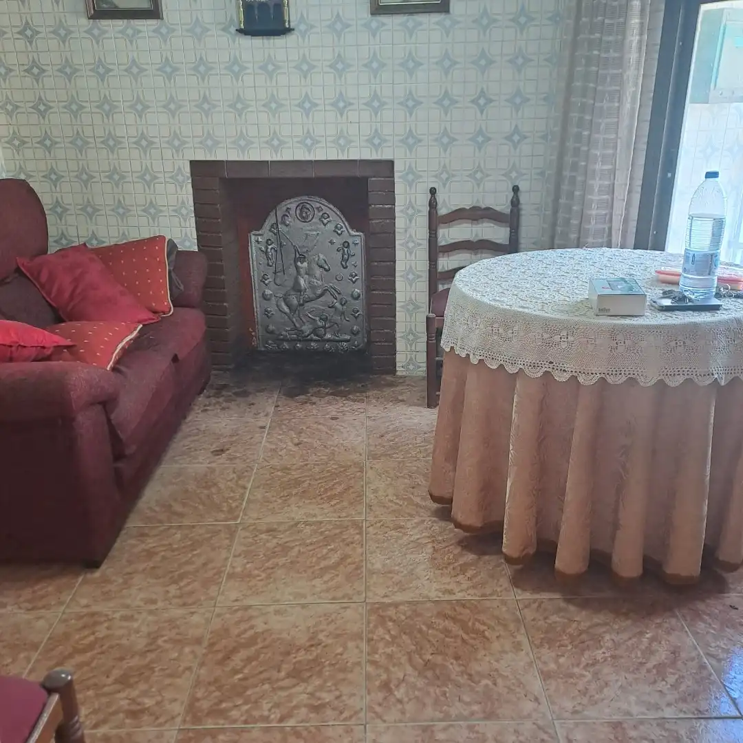 Living room of Detached homes for sale in Requena  with Furnished
