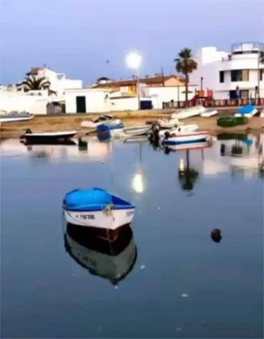 Vista exterior de Casa o chalet de alquiler en Ayamonte