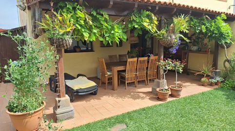 Piso en venta en Calle Alcade Manuel Perdomo Cerpa, 7, Firgas, Las Palmas - imagen 4 Foto 4 de Piso en venta en Calle Alcade Manuel Perdomo Cerpa, 7, Firgas, Las Palmas