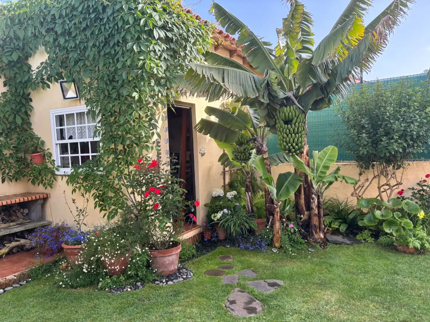 Piso en venta en Calle Alcade Manuel Perdomo Cerpa, 7, Firgas Jardín de Piso en venta en Firgas con Jardín privado, Terraza y Trastero