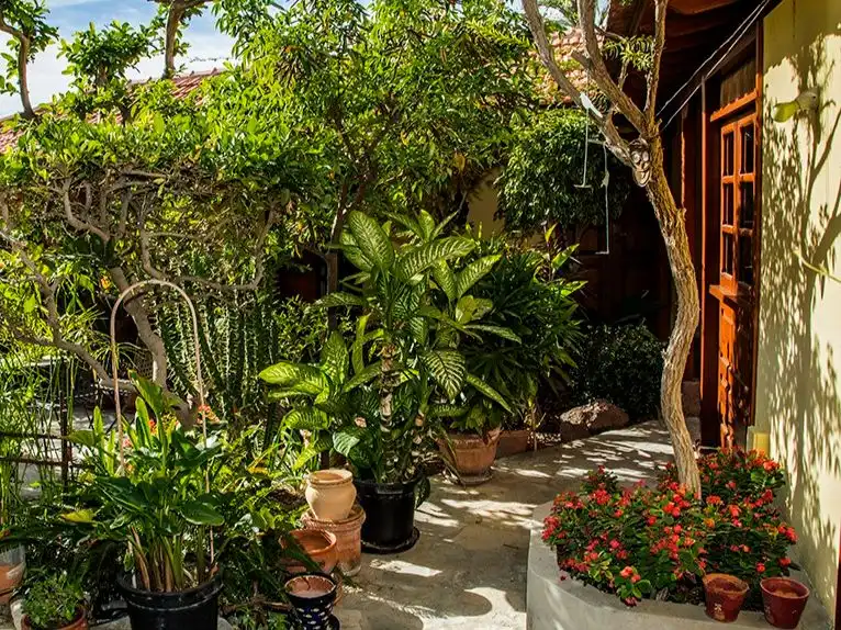 Country house zum Verkauf in Calle Barranco de Santiago, 17, San Sebastián de la Gomera Garten von Country house zum Verkauf in San Sebastián de la Gomera mit Privatgarten, Parkett und Terrasse