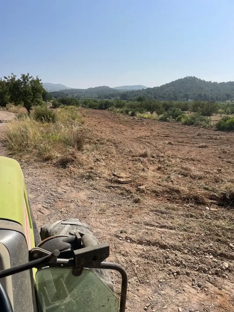 Finca rústica en venta en Calle Pelayo, 38, Casinos Finca rústica en venta en Casinos con Jardín privado, Terraza y Piscina