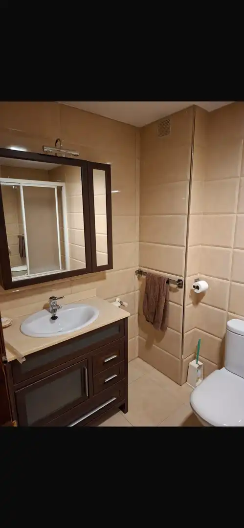 Flat for rent in Calle Cardenal Parrado, 41, San Francisco Javier Bathroom of Flat for rent in Granada with Air Conditioner, Heating and Private garden