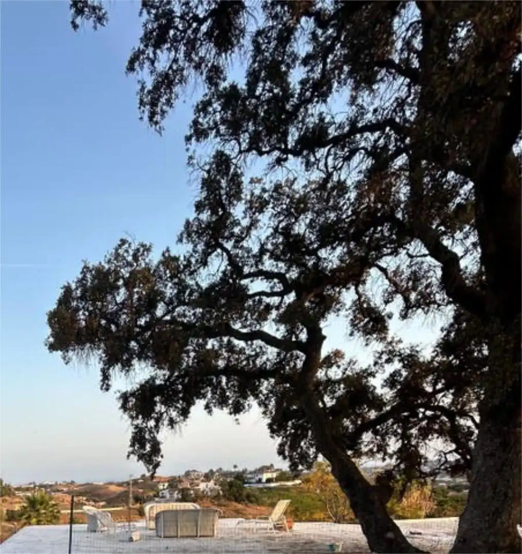 Houses for rent in Campo de Mijas Exterior view of Houses for rent in Mijas with Heating, Private garden and Terrace