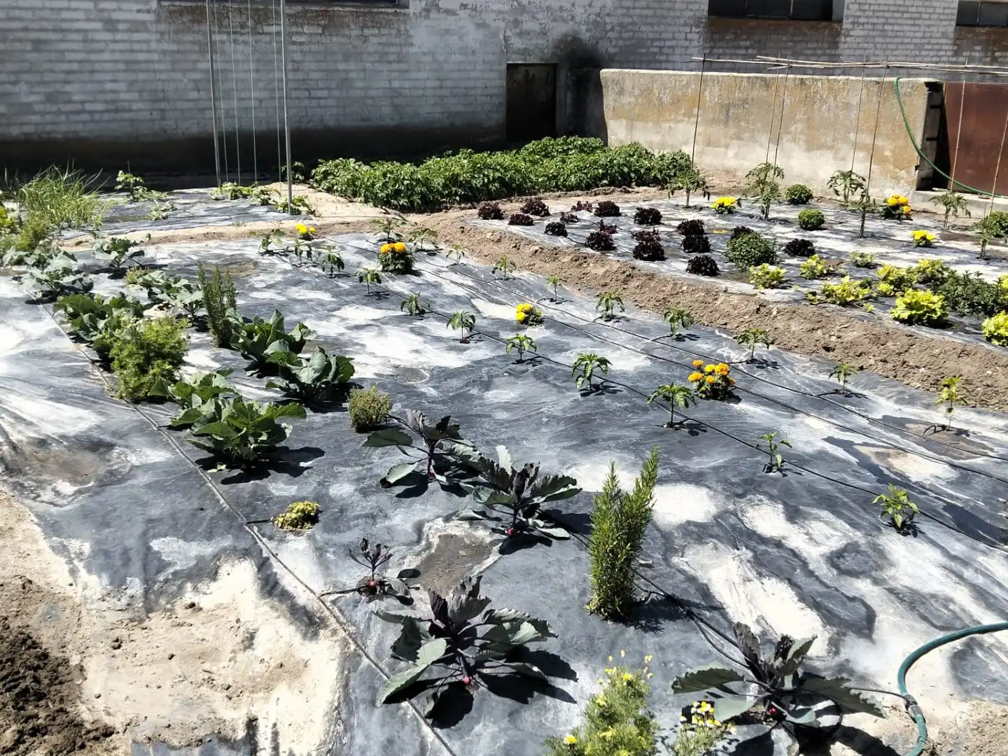 Finca rústica en venda a Calle Empedrada, 23, Alcazarén Jardí de Finca rústica en venda en Alcazarén