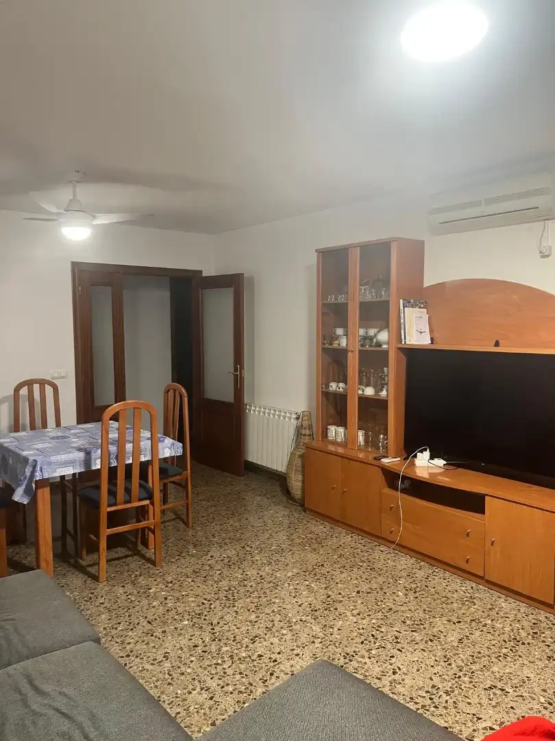 Living room of Flat for rent in Castellón de la Plana / Castelló de la Plana  with Furnished