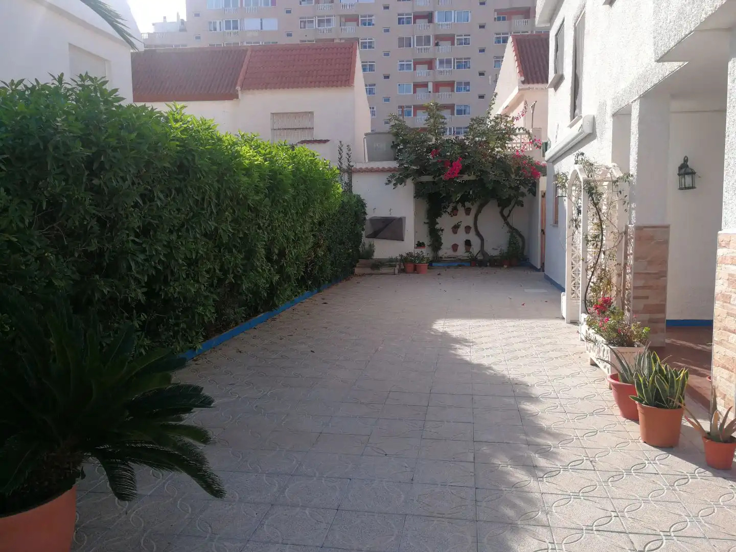 Casa o chalet de alquiler en Pl-r(m, 13, Playa de las Gaviotas - El Pedrucho