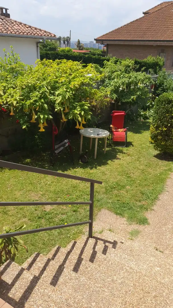 Casa o xalet en venda a Camino Mimosas, 350, Somió Jardí de Casa o xalet en venda en Gijón amb Calefacció, Jardí privat i Terrassa