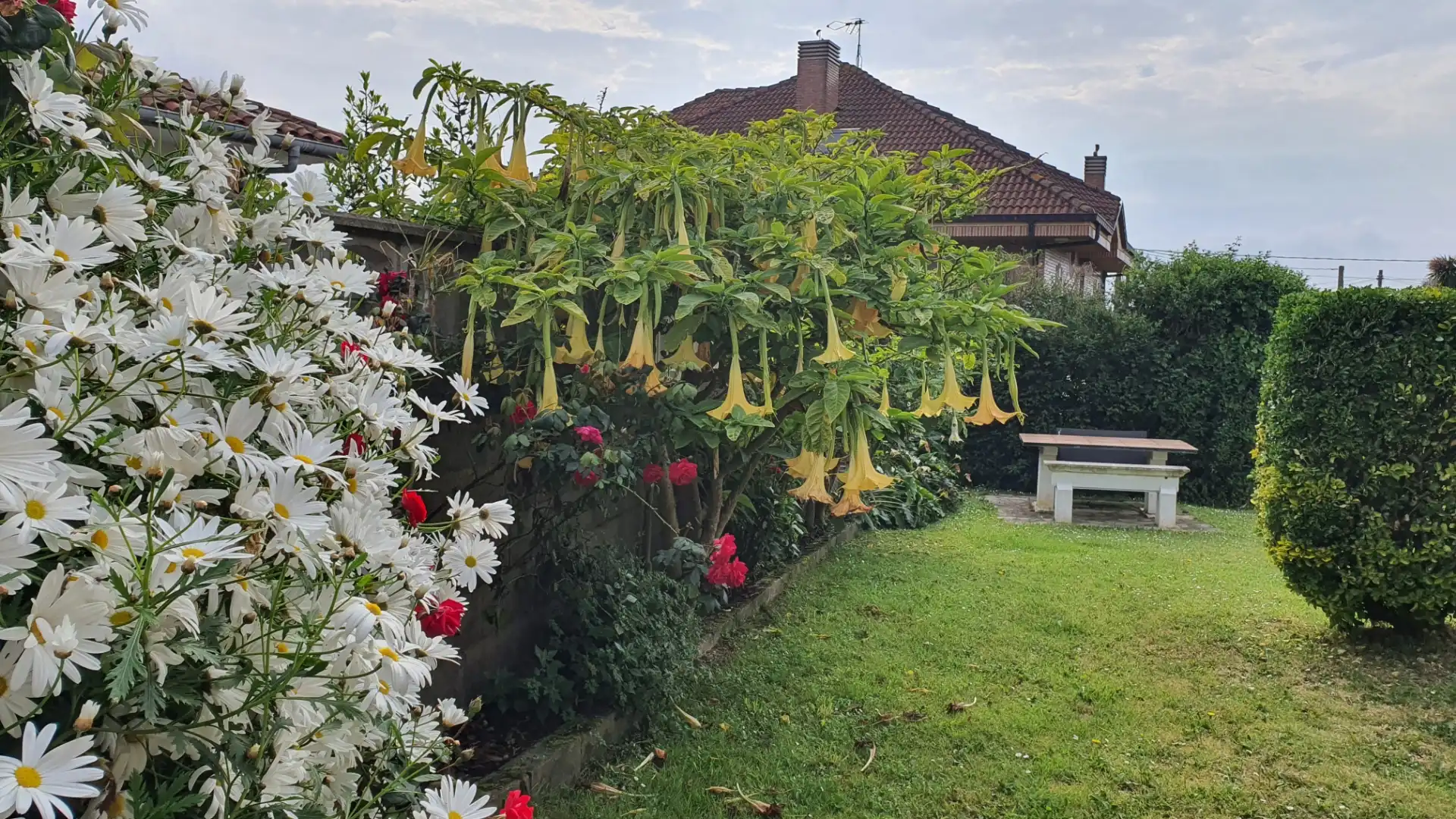 Casa o xalet en venda a Camino Mimosas, 350, Somió Jardí de Casa o xalet en venda en Gijón amb Calefacció, Jardí privat i Terrassa