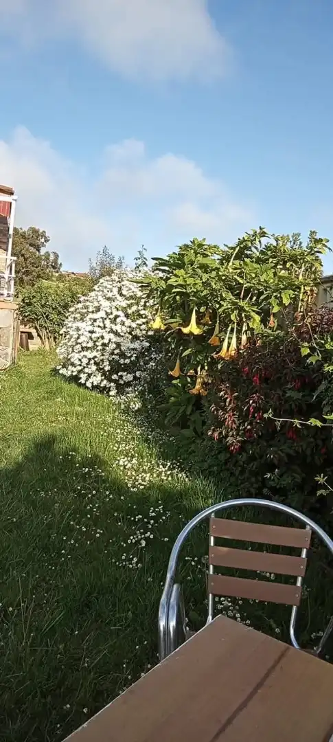 Casa o xalet en venda a Camino Mimosas, 350, Somió Jardí de Casa o xalet en venda en Gijón amb Calefacció, Jardí privat i Terrassa