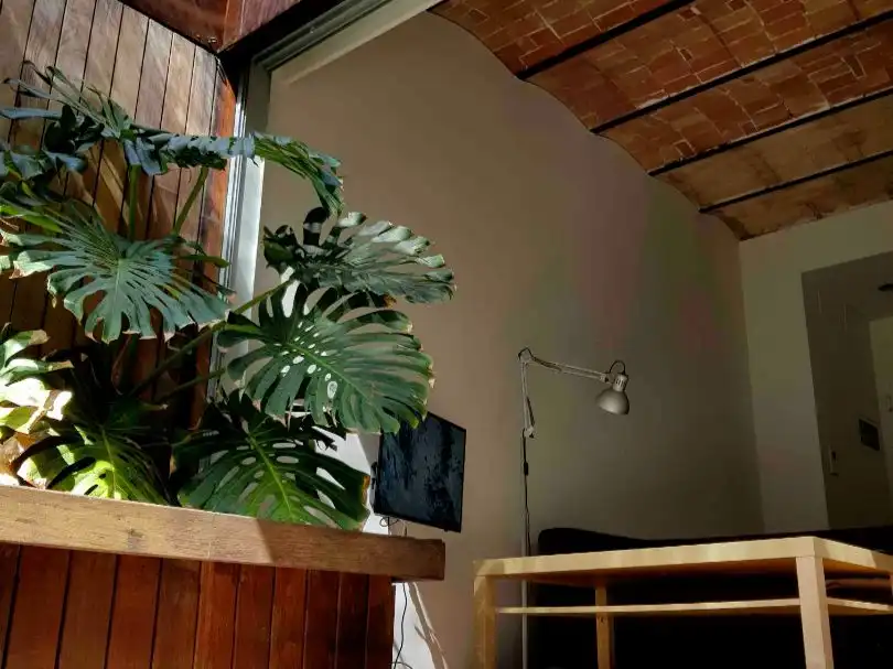 Sala de estar de Ático de alquiler en Santa Cruz de Tenerife con Aire acondicionado, Calefacción y Jardín privado