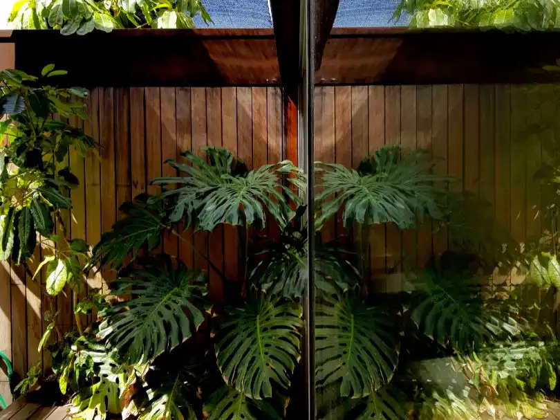 Jardín de Ático de alquiler en Santa Cruz de Tenerife con Aire acondicionado, Calefacción y Jardín privado