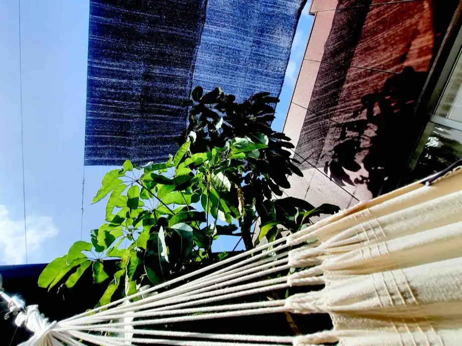Jardín de Ático de alquiler en Santa Cruz de Tenerife con Aire acondicionado, Calefacción y Jardín privado