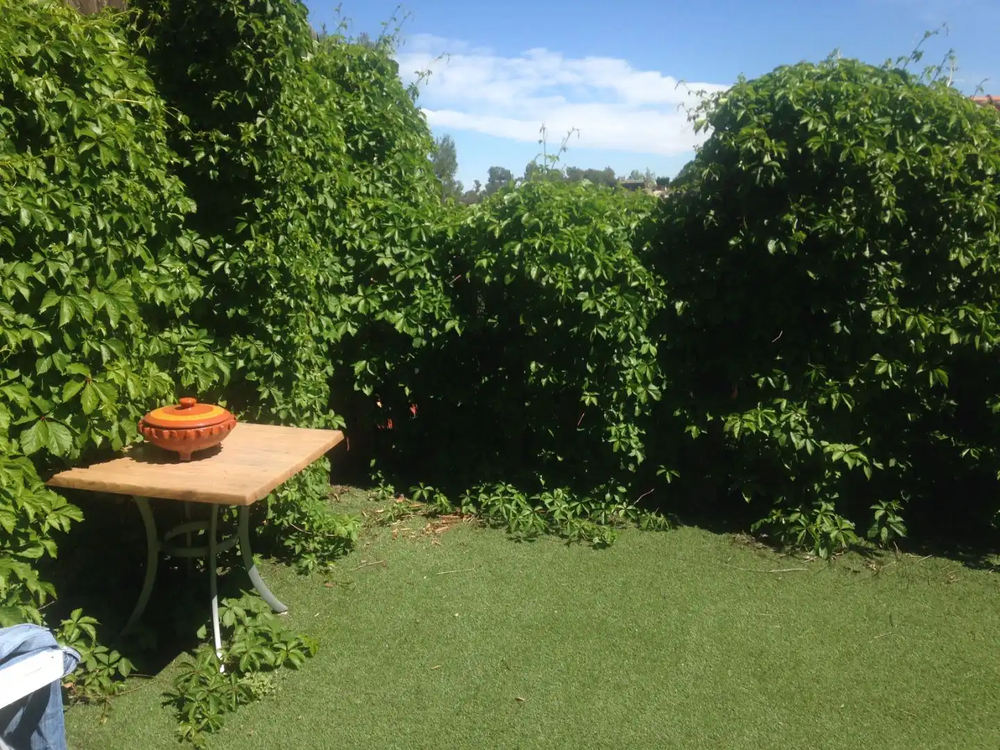 Casa o xalet de lloguer a Passatge de la Salut, 15, La Floresta Jardí de Casa o xalet de lloguer en Sant Cugat del Vallès amb Aire condicionat, Terrassa i Balcó
