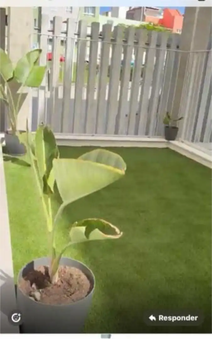 Piso de alquiler en Siete Palmas Jardín de Piso de alquiler en Las Palmas de Gran Canaria con Jardín privado y Piscina