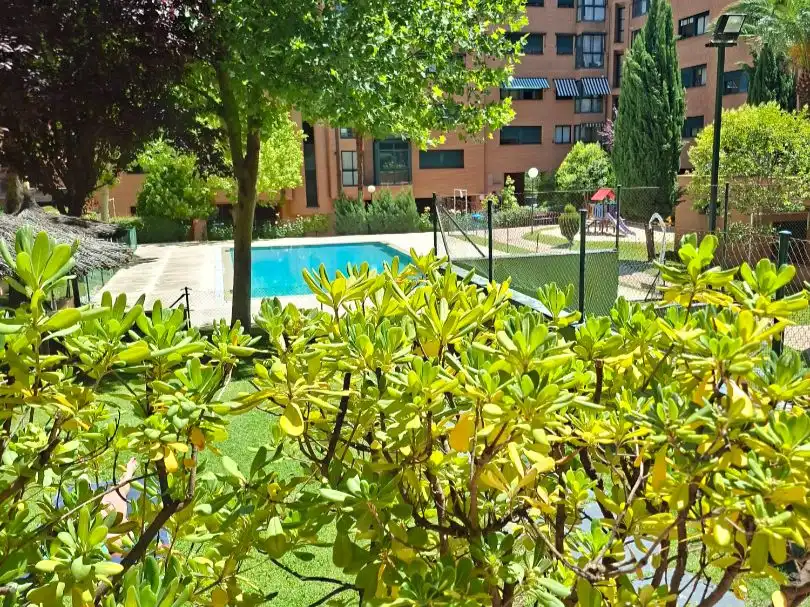 Piscina de Pis en venda en Madrid amb Aire condicionat, Calefacció i Parquet