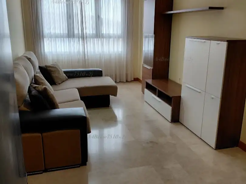 Sala de estar de Piso de alquiler en Las Palmas de Gran Canaria con Amueblado y Videoportero
