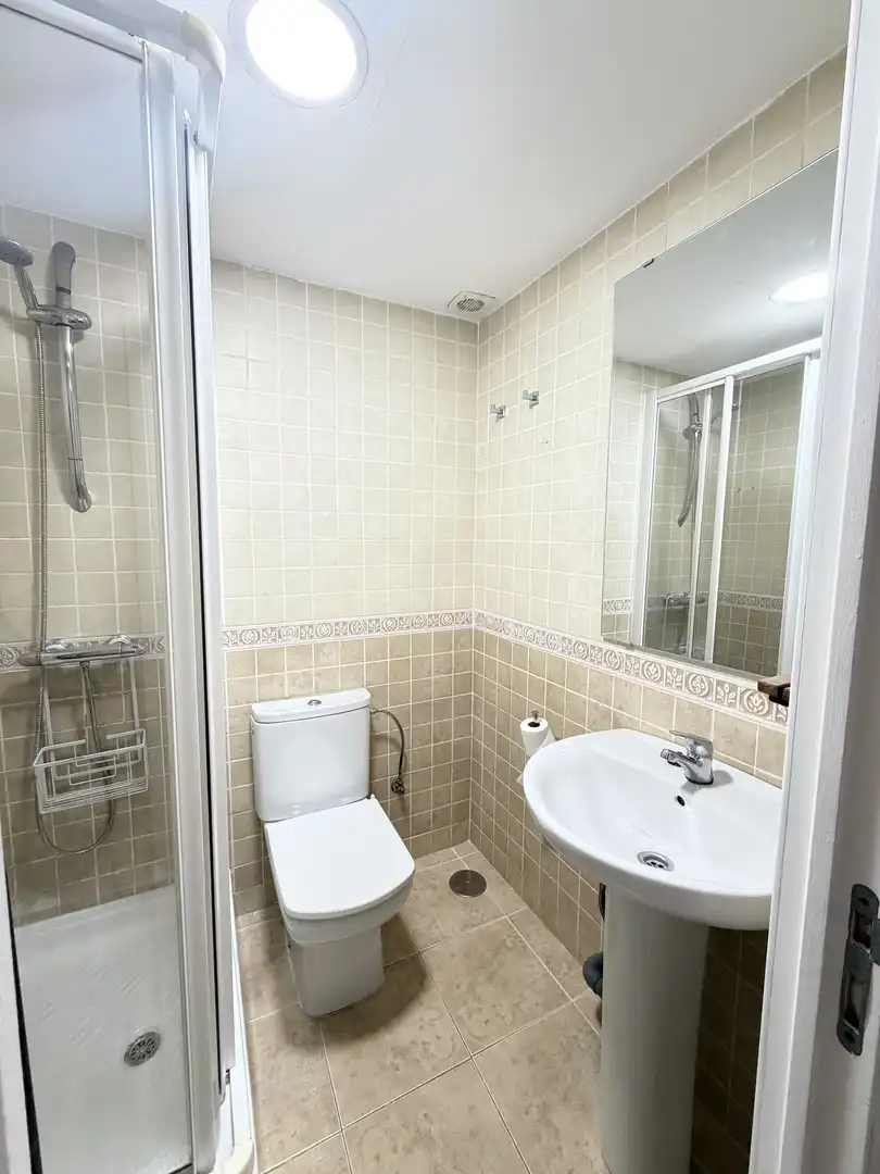 Bathroom of Flat for rent in San Fernando