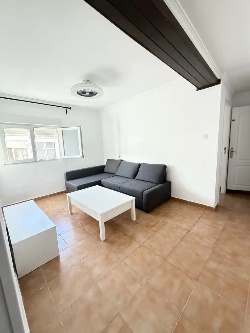 Living room of Flat for rent in San Fernando