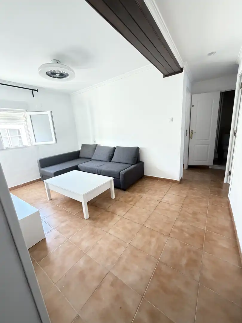 Living room of Flat for rent in San Fernando