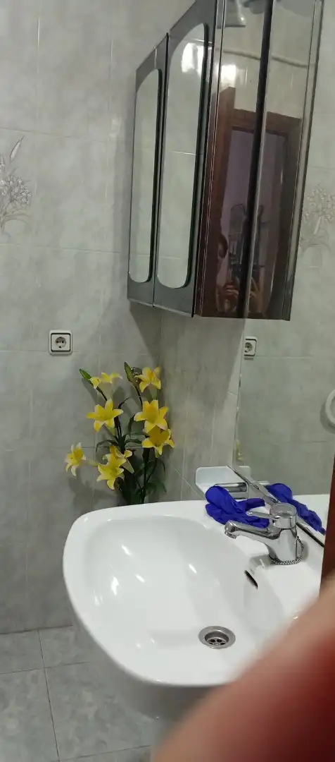 Flat for sale in Calle Alfredo Agosti, 12, Flores de Sil - La Placa Bathroom of Flat for sale in Ponferrada with Heating and Furnished