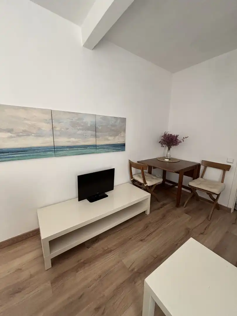 Flat for rent in Calle Peligros, 49, San Antón Living room of Flat for rent in Alicante / Alacant with Parquet flooring, Furnished and Balcony