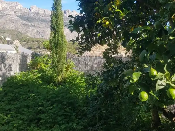Country homes for rent in Callosa d'en Sarrià Country homes for rent in Callosa d'en Sarrià with Private garden, Swimming Pool and Furnished