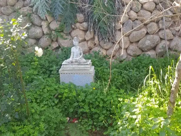 Country homes for rent in Callosa d'en Sarrià Garden of Country homes for rent in Callosa d'en Sarrià with Private garden, Swimming Pool and Furnished