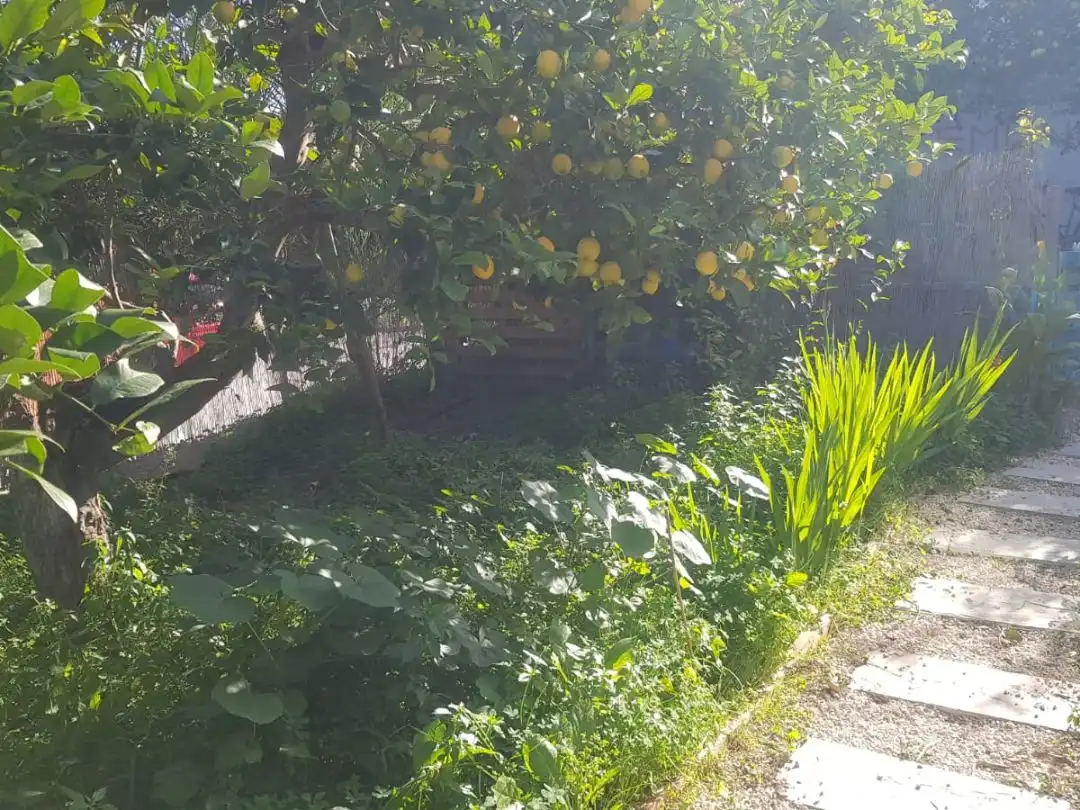 Country homes for rent in Callosa d'en Sarrià Country homes for rent in Callosa d'en Sarrià with Private garden, Swimming Pool and Furnished