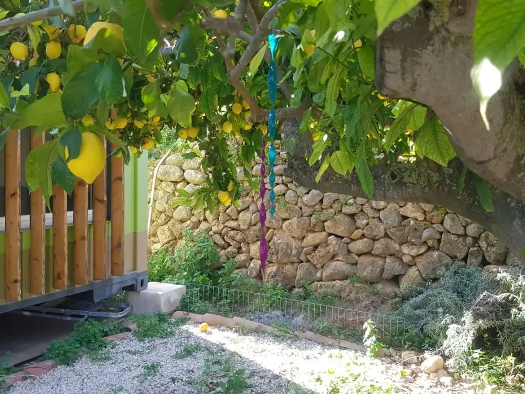 Country homes for rent in Callosa d'en Sarrià Garden of Country homes for rent in Callosa d'en Sarrià with Private garden, Swimming Pool and Furnished