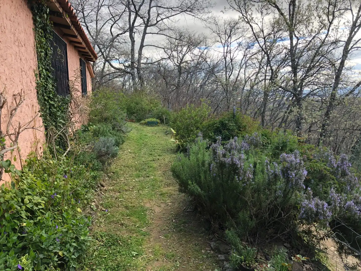 Finca rústica en venta en Calle Ronda Norte, 4, Losar de la Vera Jardín de Finca rústica en venta en Losar de la Vera