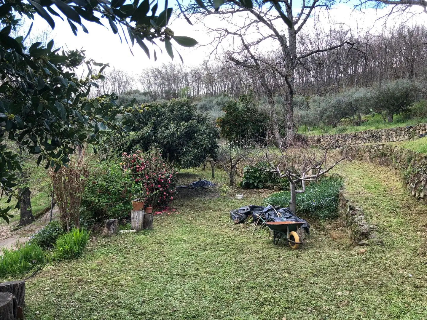 Finca rústica en venta en Calle Ronda Norte, 4, Losar de la Vera Jardín de Finca rústica en venta en Losar de la Vera