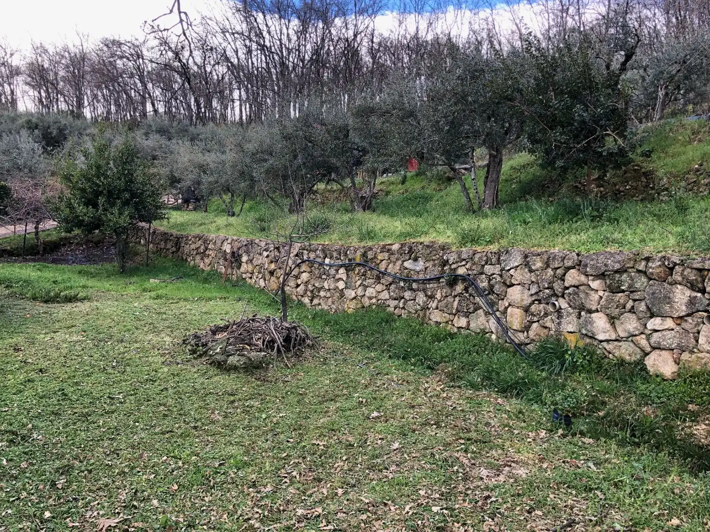 Finca rústica en venta en Calle Ronda Norte, 4, Losar de la Vera Finca rústica en venta en Losar de la Vera